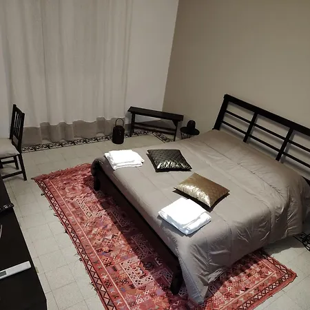 Vlll Portico Bolonya